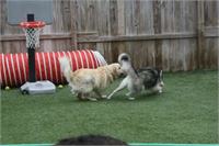 daycare pic 97 - play time